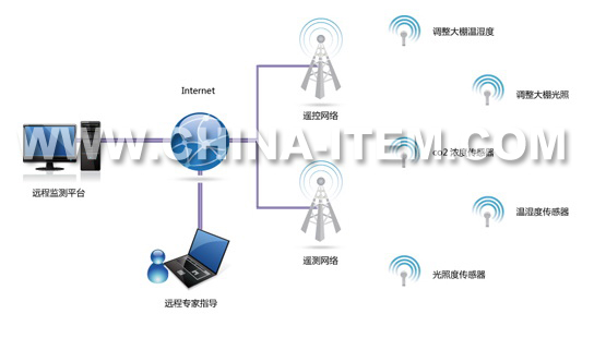 �o��������